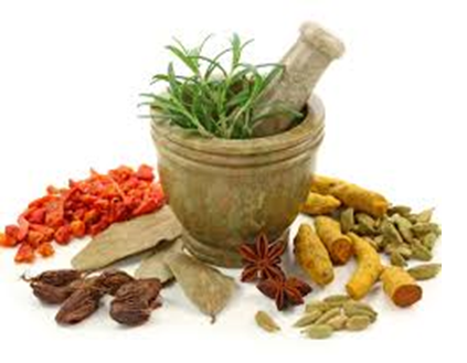 Đề thi thử Powerpoint. Đề 3